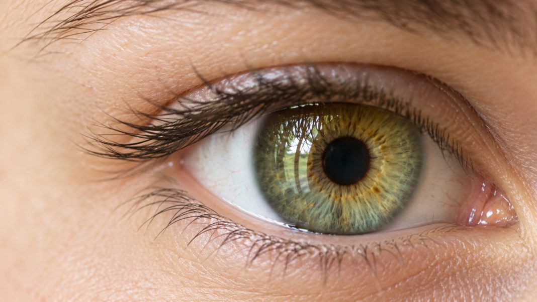 Natural eye close-up repaired Natural hazel-green eye close-up with ordinary daylight reflections.